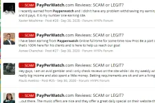 payperwatch.webp