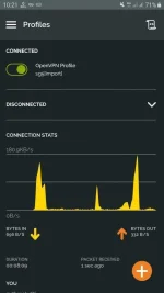 Screenshot_20201022-102129_OpenVPN Connect.webp