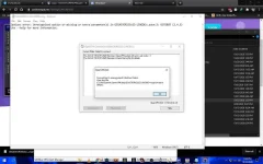 11.webp