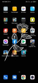 Screenshot_2020-10-24-09-57-31-245_com.miui.home.jpg