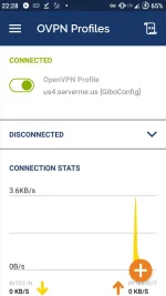 Screenshot_20201024-222826_OpenVPN_Connect.webp