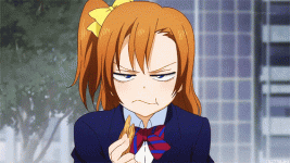 176268352000202.gif