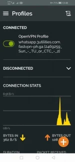 Screenshot_20201025_154824_net.openvpn.openvpn.webp