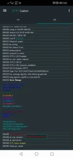 Screenshot_20201026_091841_xyz.easypro.httpcustom.webp