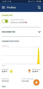 Screenshot_20201026-101601_OpenVPN Connect.webp