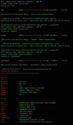 Screenshot_20201026-164635_Termius.webp
