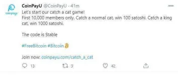 Catch a cat01.webp Catch a cat01.webp