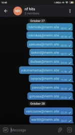 Screenshot_2020-10-29-10-48-41-499_org.telegram.messenger.webp