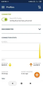 Screenshot_2020-11-02-18-09-15-376_net.openvpn.openvpn.webp