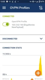Screenshot_20201103-135302_OpenVPN_Connect.webp