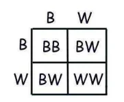 offspring.webp