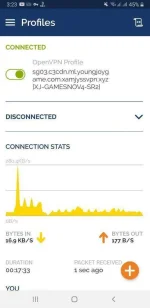 Screenshot_20201104-032341_OpenVPN Connect.webp