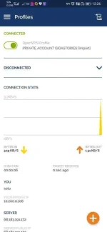 Screenshot_20201104_122618_net.openvpn.openvpn.webp