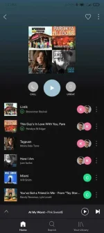 Screenshot_2020-11-04-13-33-38-700_com.Špòtífÿ.music.webp