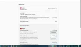 prmiumyt.webp