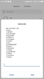 Screenshot_2020-11-08-12-17-09-062_com.android.phone.png