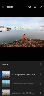 Screenshot_20201110_001230_com.adobe.lrmobile.webp