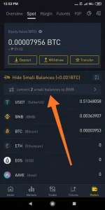 Screenshot_2020-11-10-12-53-52-739_com.binance.dev.webp