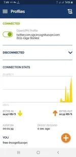 Screenshot_20201110-194426_OpenVPN Connect.webp