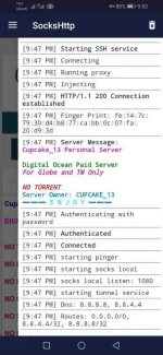 Screenshot_20201110_215340_com.slipkprojects.sockshttp.webp