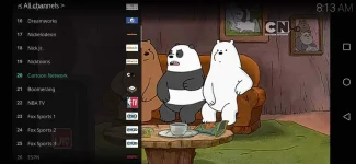 Screenshot_20201111_081337_org.xbmc.kodi.webp