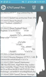 USER_SCOPED_TEMP_DATA_orca-image--609557215.jpeg