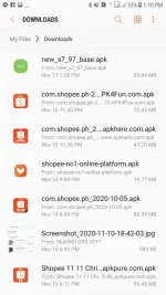 Screenshot_20201111-131022.png