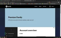 Account overview - Špòtífÿ - Brave.webp