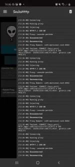 Screenshot_20201113-002631_SocksHttp.webp