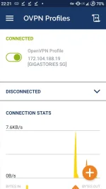 Screenshot_20201113-222146_OpenVPN_Connect.webp