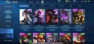 Screenshot_2020-11-15-09-19-28-514_com.mobile.legends.webp