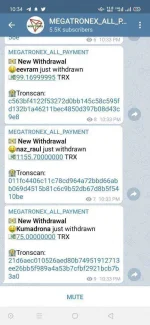 Screenshot_2020-11-16-22-34-47-03.webp