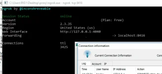 CP13.webp