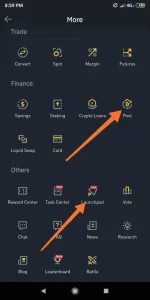 Screenshot_2020-11-19-20-59-19-703_com.binance.dev.webp