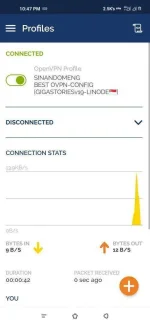 Screenshot_2020-11-19-22-47-48-302_net.openvpn.openvpn.webp