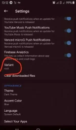 Screenshot_20201120-131311_Vanced Manager.webp