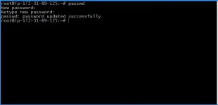 dksure.webp