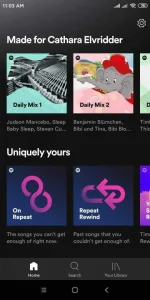 Screenshot_2020-11-21-11-03-14-186_com.Špòtífÿ.music.webp