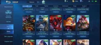 Screenshot_2020-11-22-19-24-16-894_com.mobile.legends.jpg