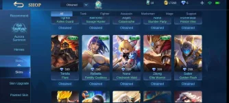 Screenshot_2020-11-22-19-24-22-047_com.mobile.legends.jpg