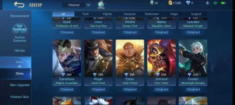Screenshot_2020-11-22-19-24-32-092_com.mobile.legends.jpg