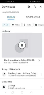 Screenshot_20201123_102251_com.android.chrome.webp