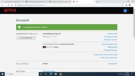 Screenshot 2020-11-24 173708.webp