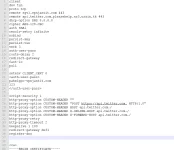 Capture.webp