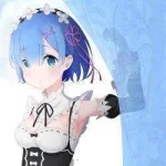 161806.webp
