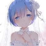 116247.webp