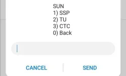 Screenshot_20201126_103905.webp