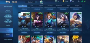 Screenshot_2020-11-27-21-40-04-446_com.mobile.legends.jpg
