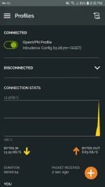 Screenshot_20201128-200840_OpenVPN Connect.webp