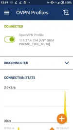 Screenshot_20201130-131921_OpenVPN_Connect.webp